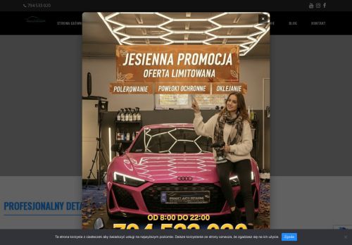 P.A. DETAILING WOJCIECH BUDAK